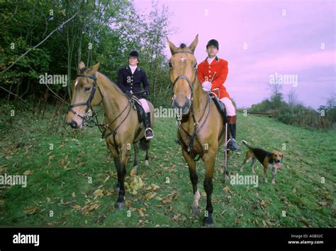 Fox Hunting Surrey Uk Stock Photo Alamy