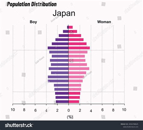 Population Distribution Male Female Population Pyramid Stock Vector ...