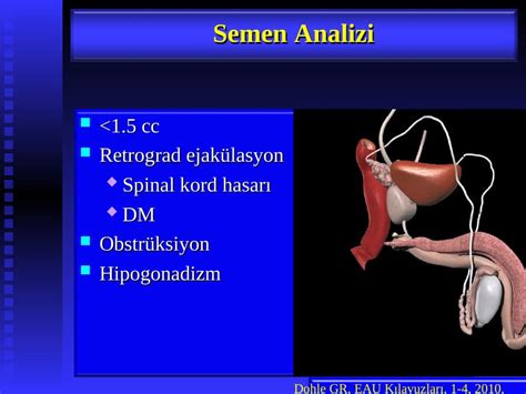 Akademik Sunum