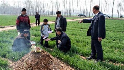 農民注意了，清明上墳有這四大「禁忌」，不知道的趕緊看看 每日頭條