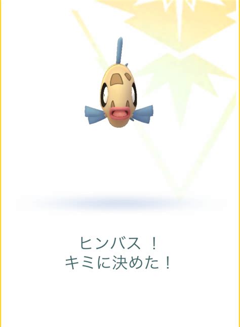 ベスト ポケモンgo ヒンバス 相棒 852003 ポケモンgo ヒンバス 相棒