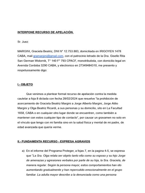 Interpone Recurso De ApelaciÓn 1 Pdf Vejez Derechos Humanos