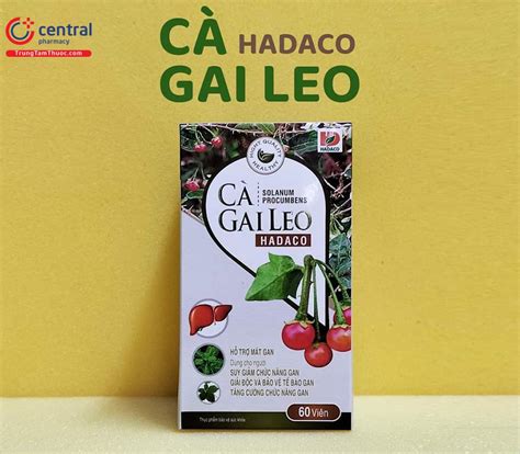 [CHÍNH HÃNG] Thuốc Cà Gai Leo Hadaco hỗ trợ tăng cường chức năng gan