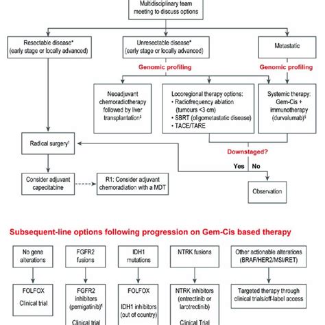 Proposed Algorithm For Systemic Treatment Of Biliary Tract Cancer