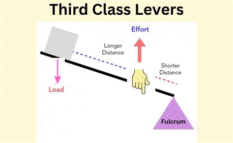 Lever Simple Machine- Introduction, Types, And Applications