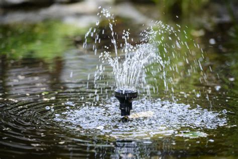 How To Select The Right Pond Pump Help Guides