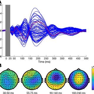 Transcranial Magnetic Stimulation Evoked Potentials Teps