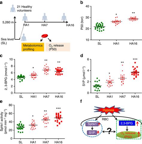 Concurrent increase of erythrocyte Sphk1 activity, S1P production and ...