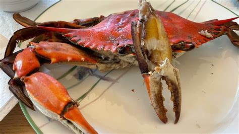 My Review Of The Crab Place” Blue Crabs Delivered To My Door For The