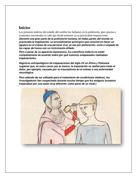 Solution Sistema Nervioso Central Cerebro Viejo Studypool