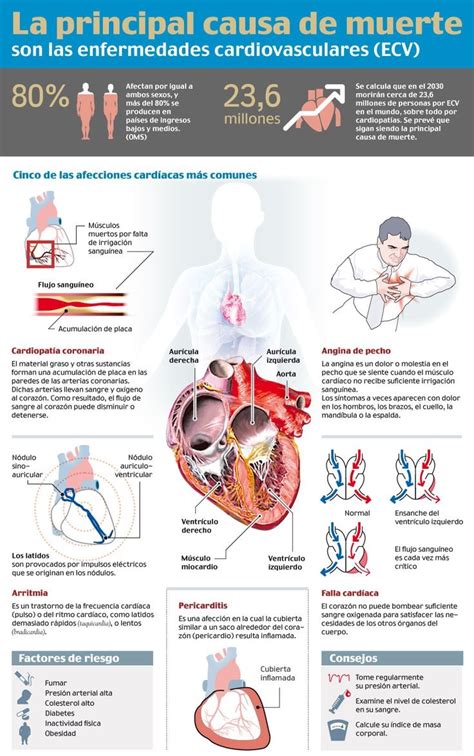 14 De Marzo Día Europeo Para La Prevención Del Riesgo Cardiovascular Saudeter