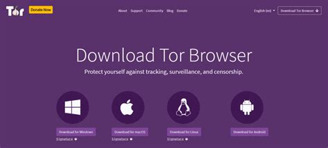 Top 11 Best Deep Web Browsers For Anonymous Browsing Techcult