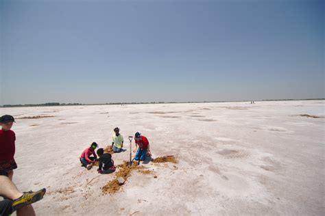 Digging for crystals at the Salt Plains ~Salt Plains National Wildlife Refuge | Danielle ...