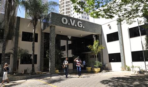 Bolsa Universit Ria Volta A Atender Na Ovg Portal Goi S