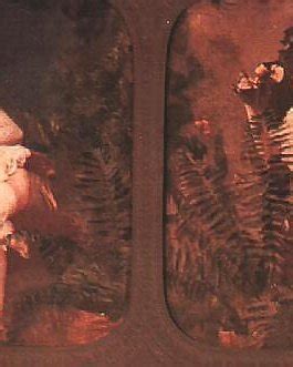 Vintage Stereoscopic Nudes Porn Pictures XXX Photos Sex Images PICTOA