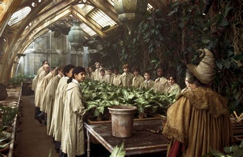 Harry Potter Exploring Neville Longbottoms Love Of Herbology