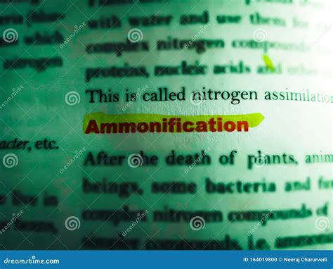 Ammonification Biological Text Written on English Language with ...