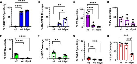 In Silico Prediction And In Vivo Testing Of Promoters Targeting