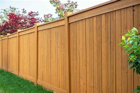 18 Privacy Fence Ideas for Your Yard (2024)