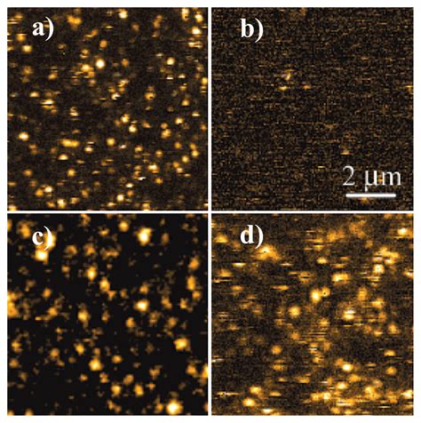 Sensors Free Full Text Electron Transfer Based Single Molecule Fluorescence As A Probe For