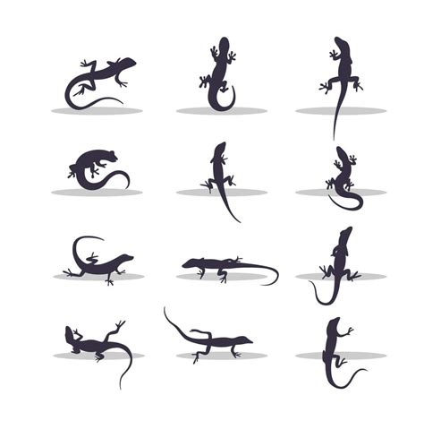 Lizard Silhouette Vector Illustration Design 3415830 Vector Art At Vecteezy