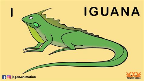 Learn To Draw IGUANA YouTube