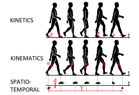 The Pros And Cons Of 4 Types Of Gait Analysis