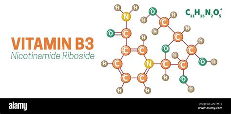 Vitamin B3 Nicotinamide Riboside Molecule Illustration Stock Vector