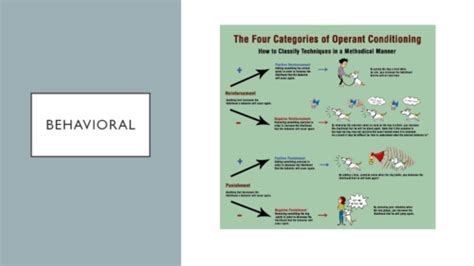 Abnormal Psych History And Models Of Abnormal Psych Flashcards Quizlet