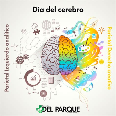 22 de julio Día Mundial del Cerebro Sanatorio del Parque