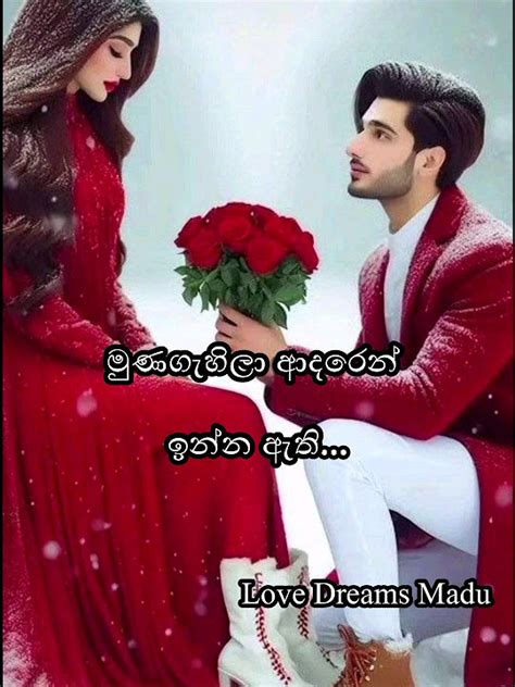 හැමදාම අපි ආදරෙන් ඉමු ️ ️love Adarawadan Lovedreamsmadu Youtube