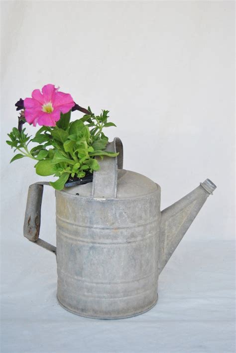 No 6 Vintage Galvanized Metal Watering Can Free Shipping Etsy