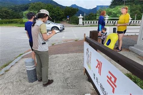 내장산국립공원 여름철 불법·무질서 행위 집중단속 네이트 뉴스