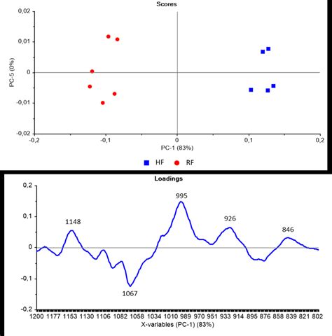 Pca Scores And Loadings Plots For All Of The Samples Over Cm