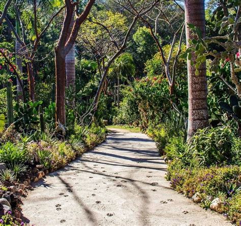 Puerto Vallarta Estos Son Los Lugares Que Tienes Que Visitar Si