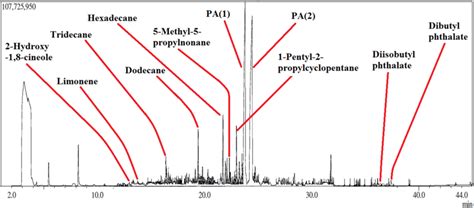 Gc Headspace Total Ion Chromatogram Of L Injection Of P Squarrosa