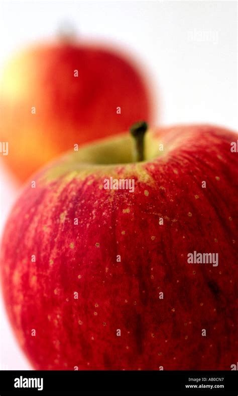 Royal Gala Apples Stock Photo Alamy