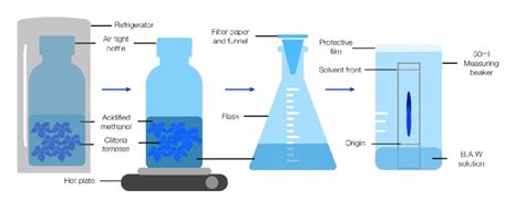 Experimental Setup Set Up The Experiment As Shown In Figure