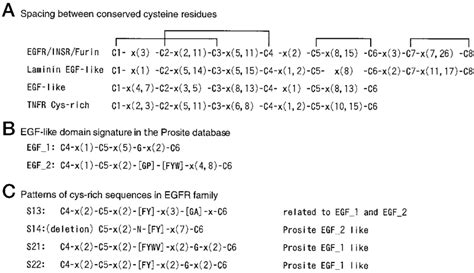 Schematic Representation Of The Folds Of Selected Cysteine Rich Motifs Download Scientific