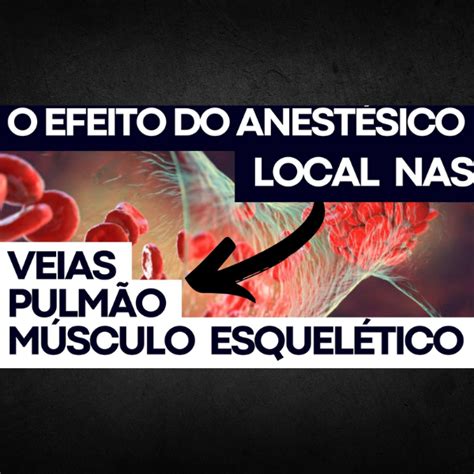 Pdf O Que O Anest Sico Local Gera Nas Veias Pulm O E Musculo