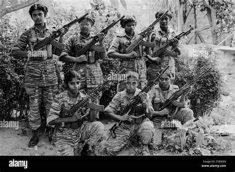 The Liberation Tigers Of Tamil Eelam Ltte Fought To Create An