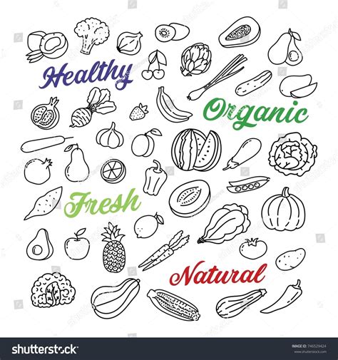 Fruits Vegetables Hand Drawn Doodle Icons 库存矢量图（免版税）746529424