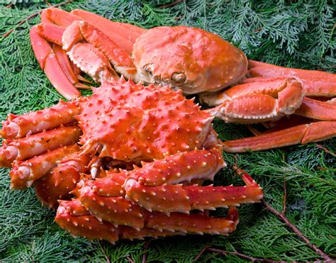 The Differences Between Snow Crab And King Crab Royal Greenland As