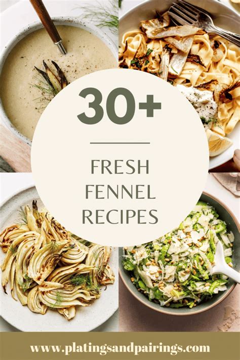 30+ EASY Fennel Recipes (Fennel Bulb Recipes)