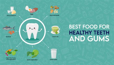 Best Foods For Healthy Teeth And Gums Vistadent