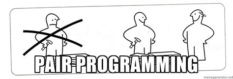 Pair Programming Rprogrammerhumor