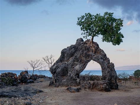 Alive and thriving: the incredible marine biodiversity of Timor-Leste