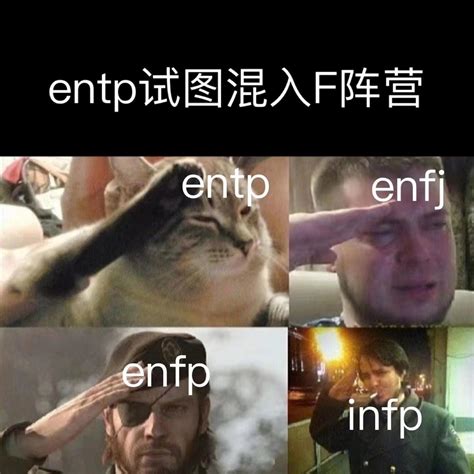 【mbti表情包】entp表情包 辩论家型人格表情包 知乎