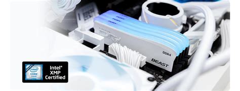 แรมพีซี Kingston Ram 32gb Kit Fury Beast Rgb Special Edition White