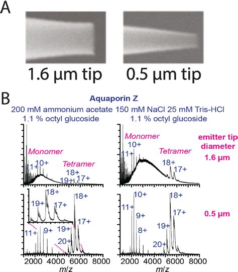 Figure From Native Mass Spectrometry Of Membrane Proteins Semantic